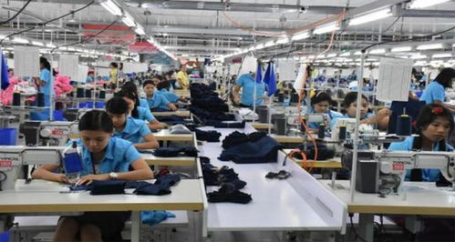 复工核查背后的挑战 工厂倒闭潮与移民咨询服务的兴起