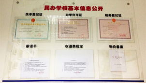 自成咨询 CMA旧纲末班车倒计时，学员报考创新高背后的战略布局